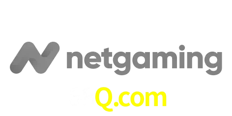 NetGaming